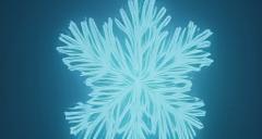Snowflake Logo